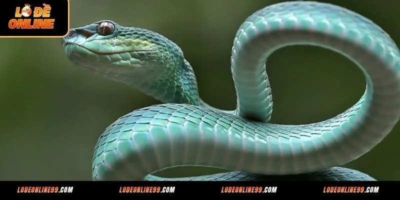 Kinh nghiệm chọn số từ giấc mơ thấy rắn