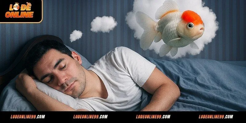 Mơ thấy cá đánh con số gì để ẵm tiền nhà cái?