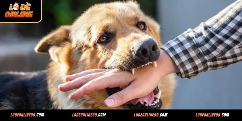 Mộng thấy chó cắn người yêu cũ